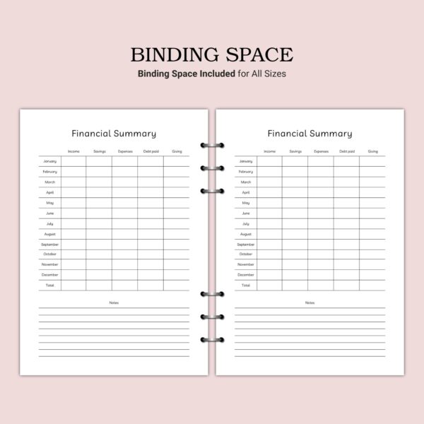 Printable Financial Summary Template - Image 3